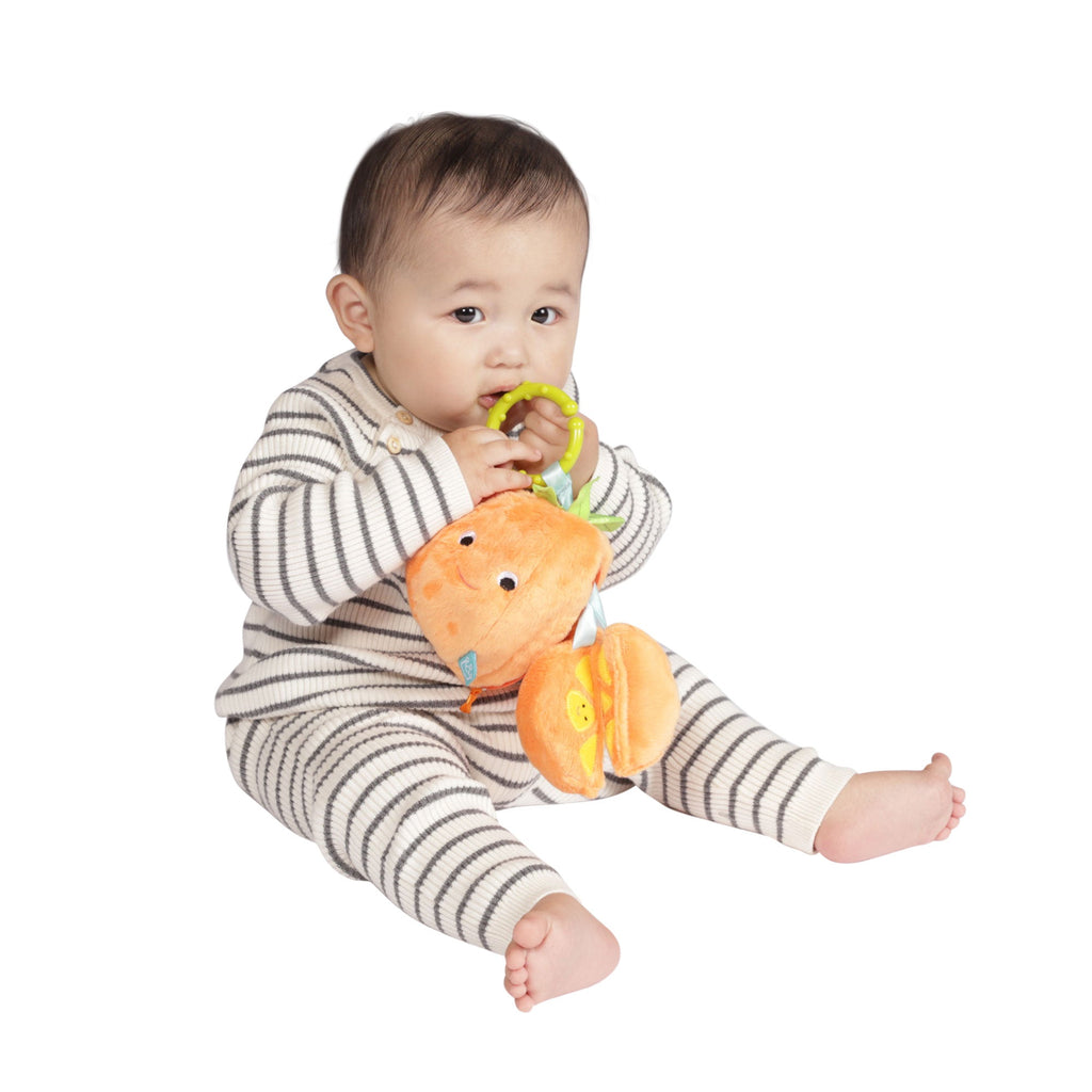 Orange Farm Travel Toy