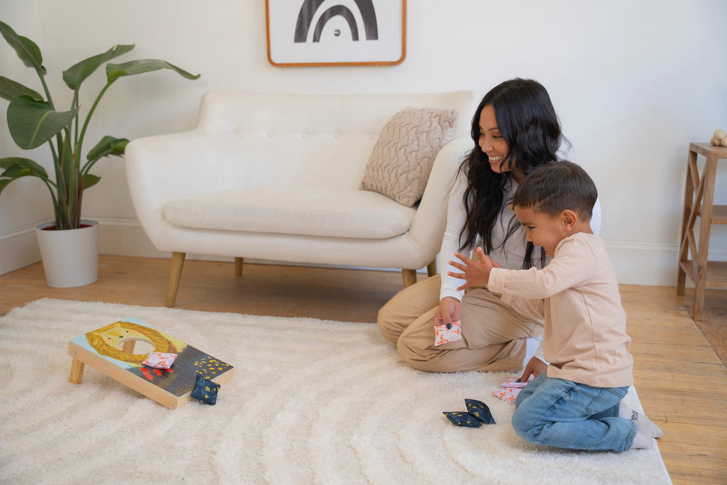 Bean Bag Toss Game