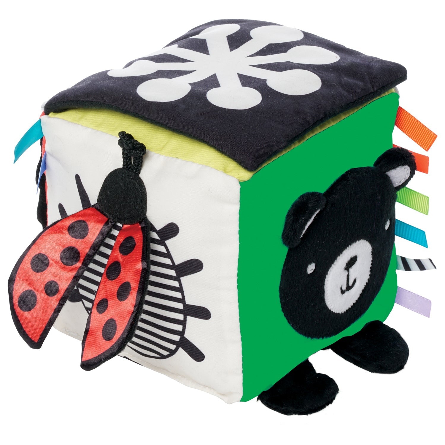 Discovery Cube
